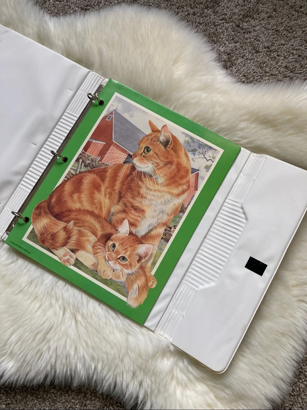 Vintage 90s Trapper Keeper Cats Butterfly Sophisticats Mead Folder 3 Ring Binder